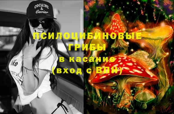 mix Арсеньев